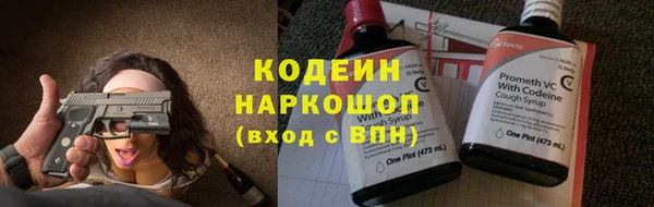 дмт Лабытнанги