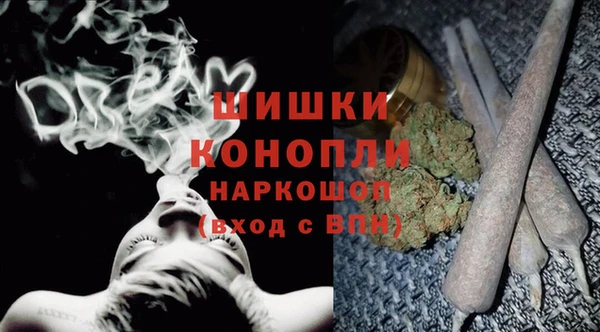 spice Лиски