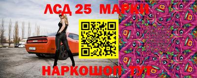 спиды Коммунар