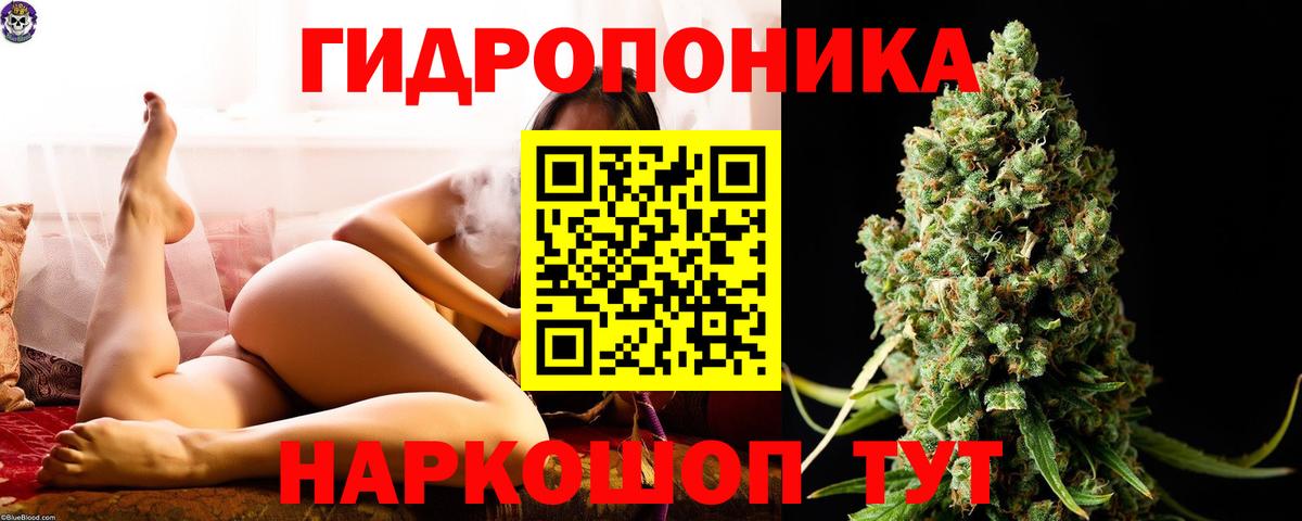 Бошки Шишки Bruce Banner Ухта
